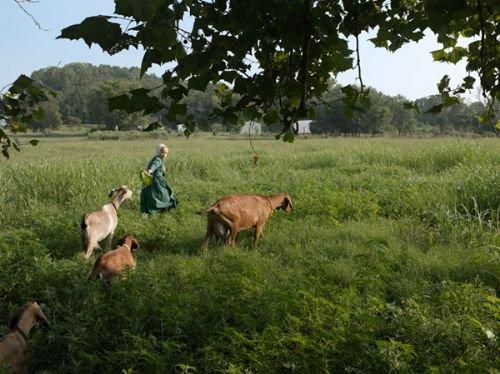 ABD'nin göbeğinde ilkel yaşamı seçtiler