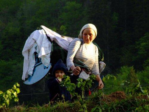 Yeşilin ve mavinin buluştuğu yer Karadeniz - Resim 39