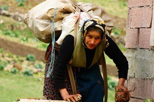 Yeşilin ve mavinin buluştuğu yer Karadeniz - Resim 80