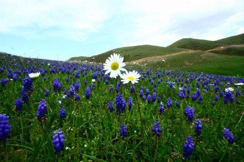 Yeşilin ve mavinin buluştuğu yer Karadeniz - Resim 61