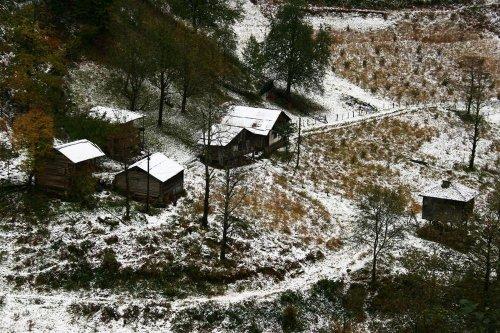 Yeşilin ve mavinin buluştuğu yer Karadeniz - Resim 6