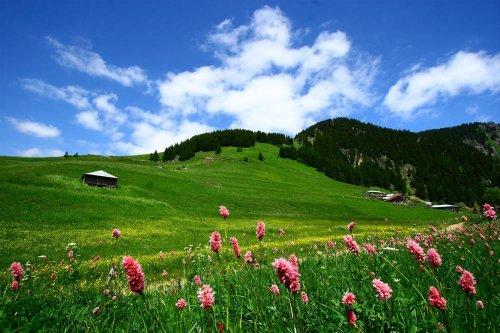 Yeşilin ve mavinin buluştuğu yer Karadeniz - Resim 64