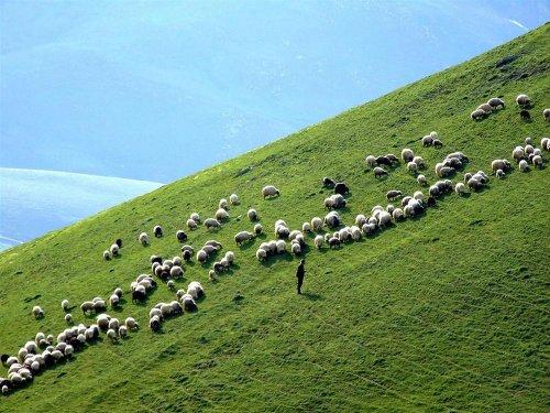 Yeşilin ve mavinin buluştuğu yer Karadeniz - Resim 51
