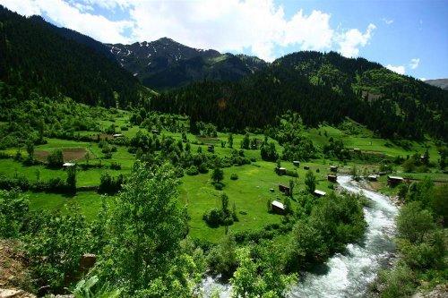 Yeşilin ve mavinin buluştuğu yer Karadeniz - Resim 7