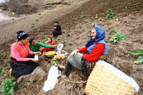 Yeşilin ve mavinin buluştuğu yer Karadeniz - Resim 86