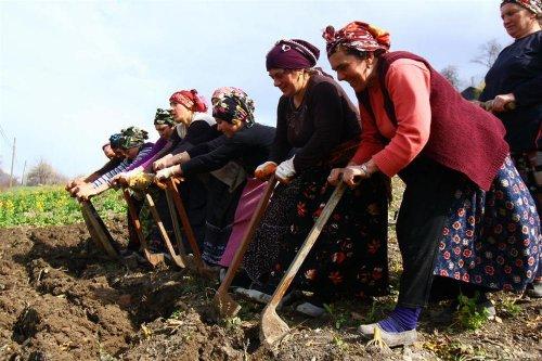 Yeşilin ve mavinin buluştuğu yer Karadeniz - Resim 20
