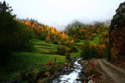 Yeşilin ve mavinin buluştuğu yer Karadeniz - Resim 5