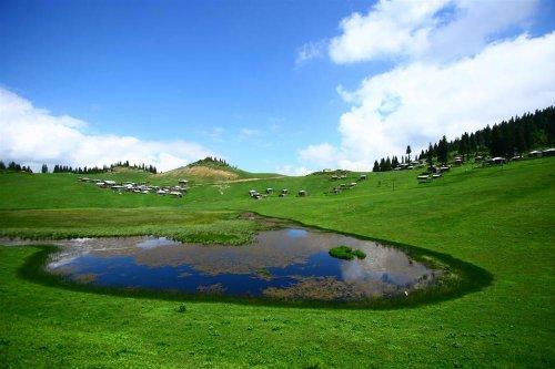 Yeşilin ve mavinin buluştuğu yer Karadeniz - Resim 27