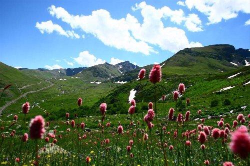 Yeşilin ve mavinin buluştuğu yer Karadeniz - Resim 75