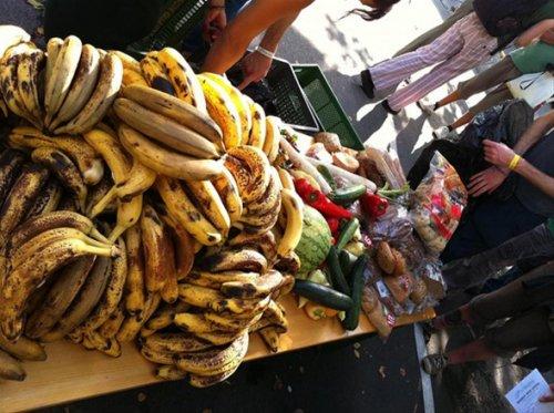 ABD'de yeni akım: Freeganizm