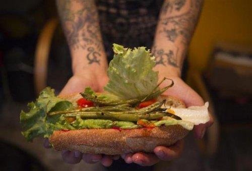 ABD'de yeni akım: Freeganizm