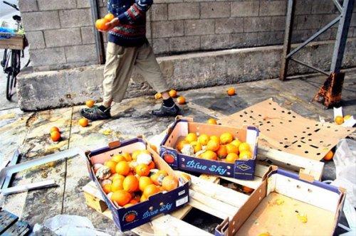 ABD'de yeni akım: Freeganizm