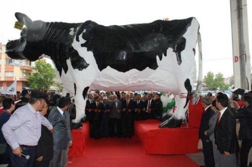 Bakan Binali Yıldırım Burdur'da  - Resim 2
