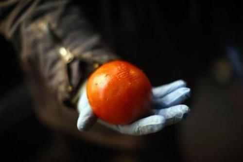 ABD'de yeni akım: Freeganizm