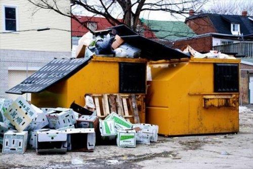 ABD'de yeni akım: Freeganizm