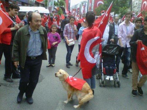 Şişli'de dev 19 Mayıs kutlamaları - Resim 2