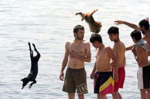 Yurdum insanından yaz manzaraları