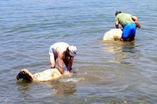 Yurdum insanından yaz manzaraları