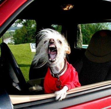 Facebook'taki en ilginç fotoğraflar