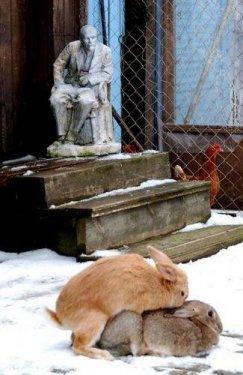 Facebook'taki en ilginç fotoğraflar