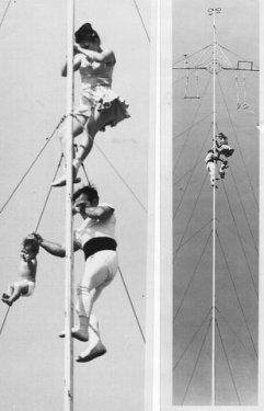 Çılgın aile fotoğrafları