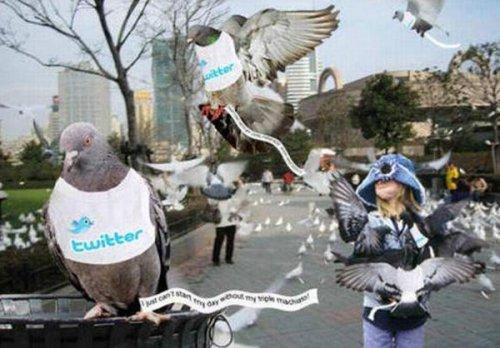 İnternetsiz bir hayat nasil olurdu