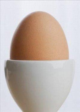 Yumurta hakkında bilinmeyenler