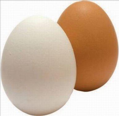 Yumurta hakkında bilinmeyenler