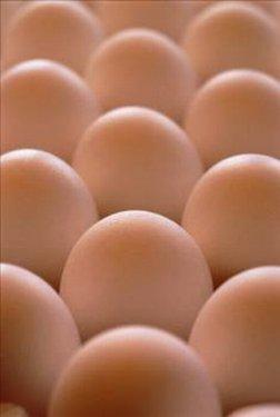 Yumurta hakkında bilinmeyenler