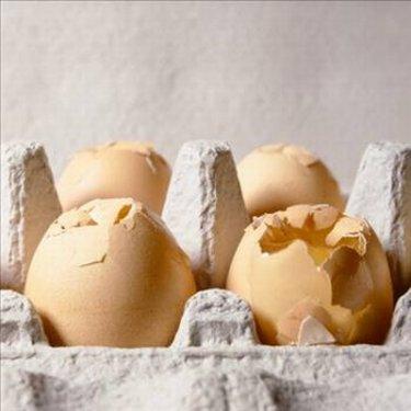 Yumurta hakkında bilinmeyenler