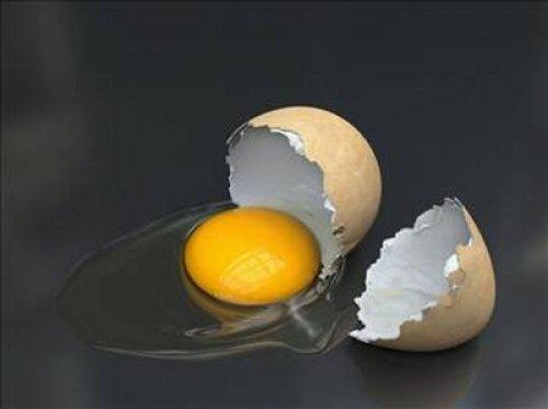 Yumurta hakkında bilinmeyenler