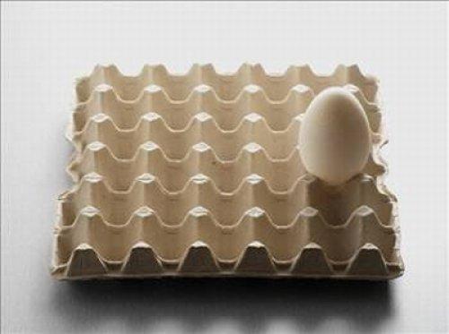 Yumurta hakkında bilinmeyenler