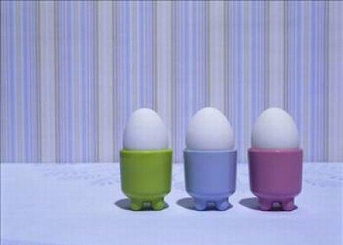 Yumurta hakkında bilinmeyenler