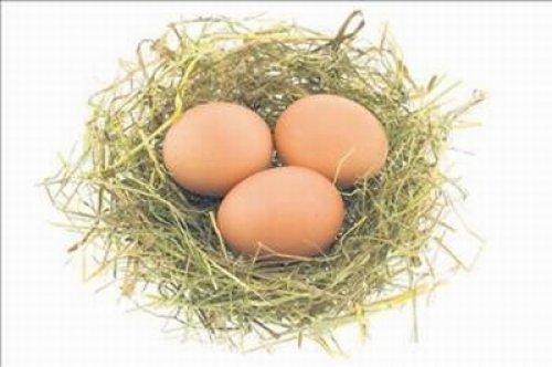 Yumurta hakkında bilinmeyenler