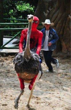 İnsanlar garip varlıklar