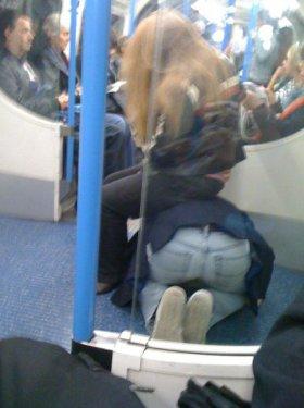 İnsanlar garip varlıklar