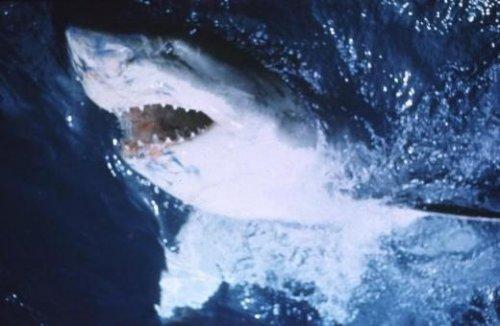 Sinemanın En Korkunç 20 Karakteri