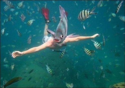 Deklanşöre tam zamanında basınca