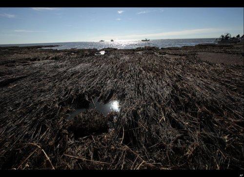 Dünyanın en büyük 20 petrol üreticisi