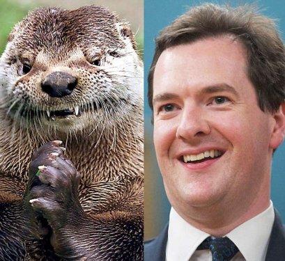 Güldüren benzerlik