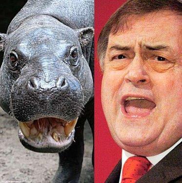 Güldüren benzerlik