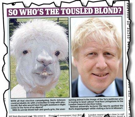 Güldüren benzerlik