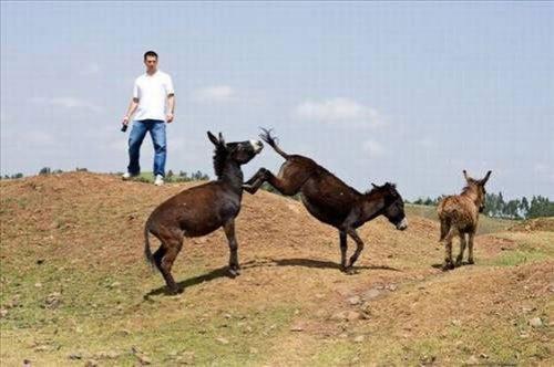 En komik görüntüler