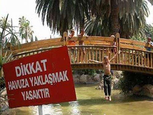 En komik görüntüler