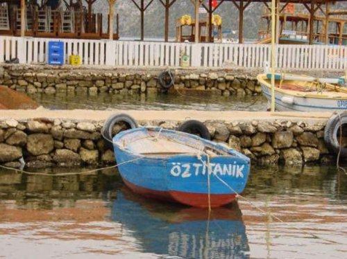 En komik görüntüler