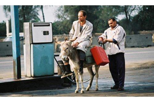 Tüm zamanların en komik fotoğrafları