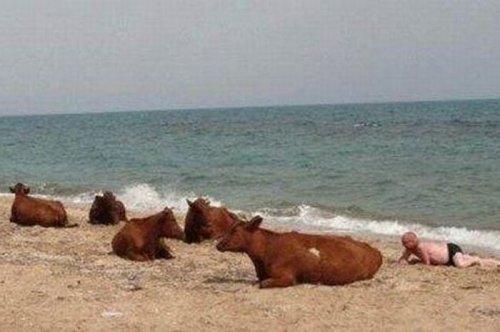 Tüm zamanların en komik fotoğrafları