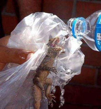 Yurdum insanından komik manzaralar