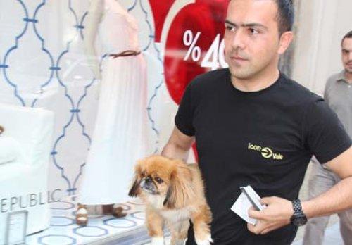 Sevgili kucağında alışveriş