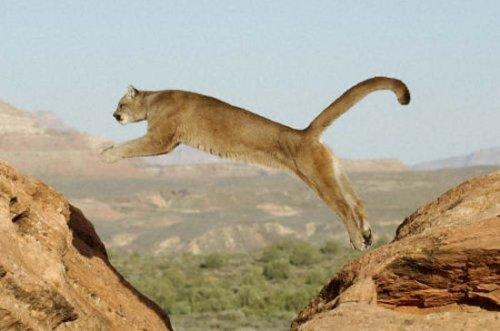 Farklarıyla adlarından söz ettiriyorlar